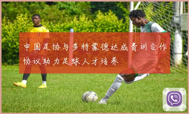 中国足协与多特蒙德达成青训合作协议助力足球人才培养